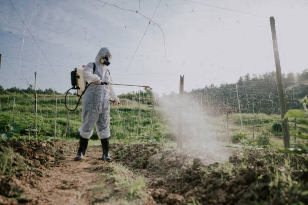 Best Pest Control Near Me  in Boronda, CA
