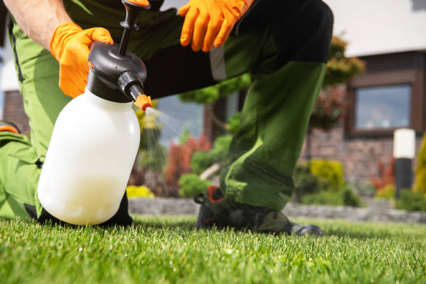 Best Cockroach Control Services  in Boronda, CA