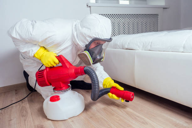 Best Local Pest Control Services  in Boronda, CA