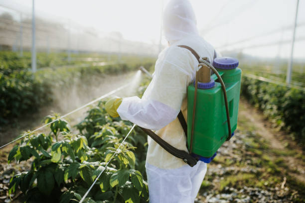 Best Ant Control Services  in Boronda, CA